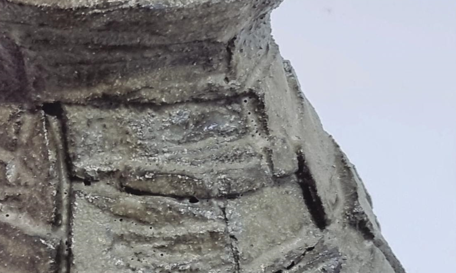 amplitude2025_premio