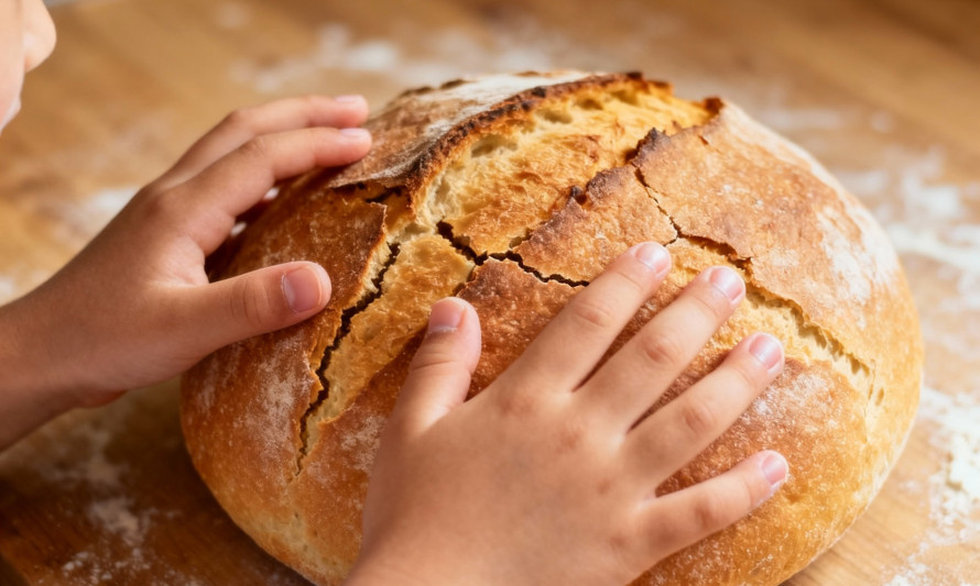 OFICINA_MIMAR_O_PAO_CASA_DA_CIDADE_NOVEM,BRO_2025