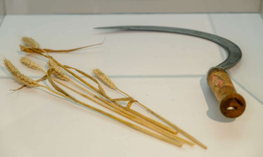 EXPOSICAO_PAO_NOSSO_NOV_2025