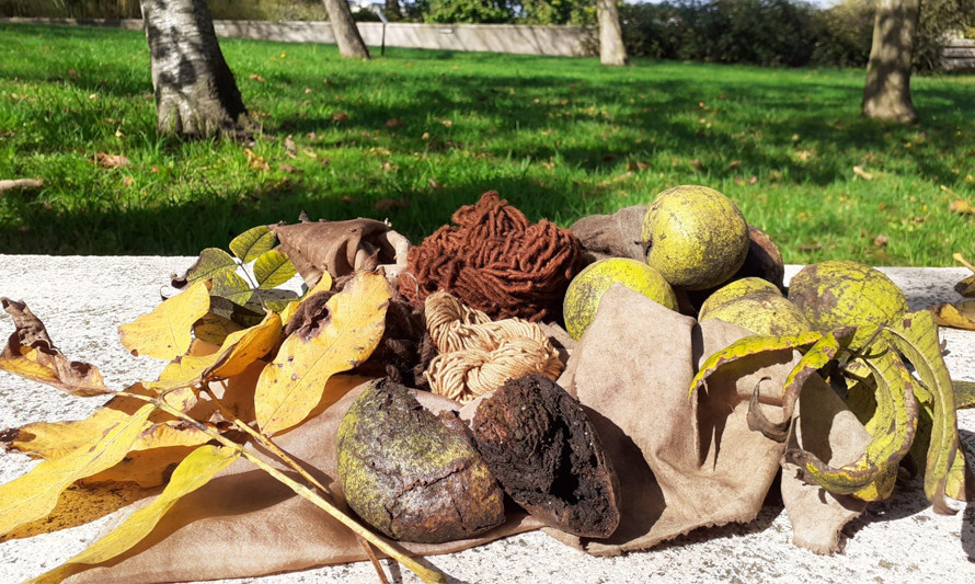 Fotografia de nozes e tingimentos 