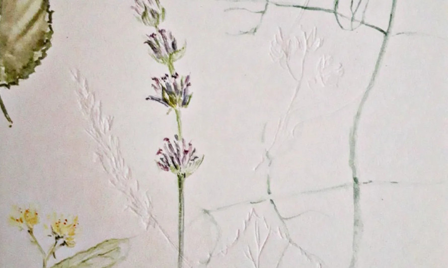 Desenho táctil de plantas do jardim