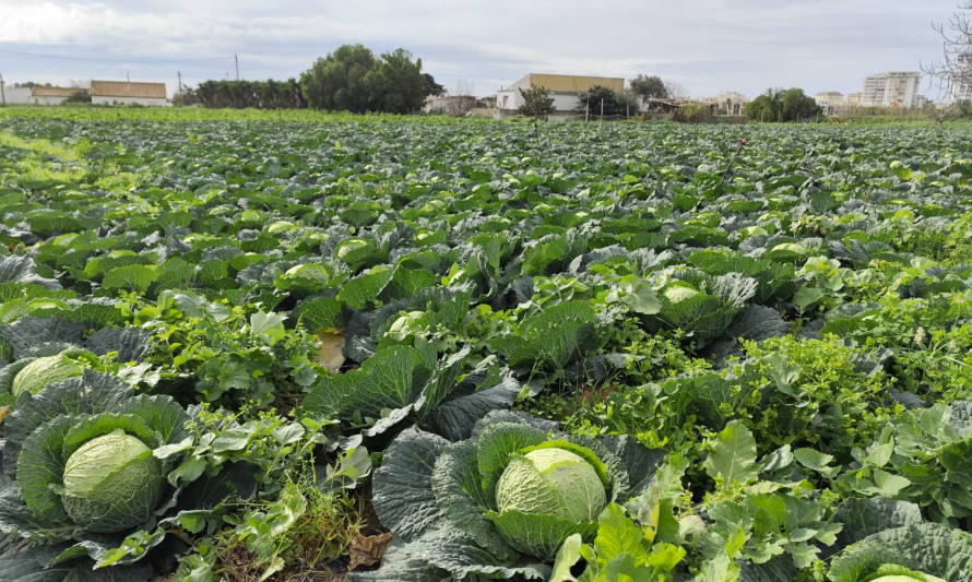 Agroparque das Terras da Costa e do Mar
