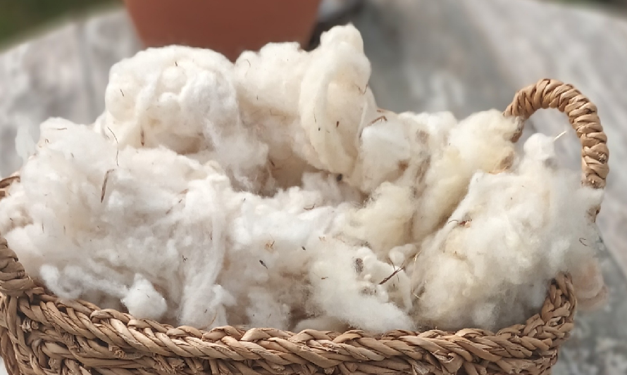 OFICINA_FELTRAGEM_ABRIL_2026