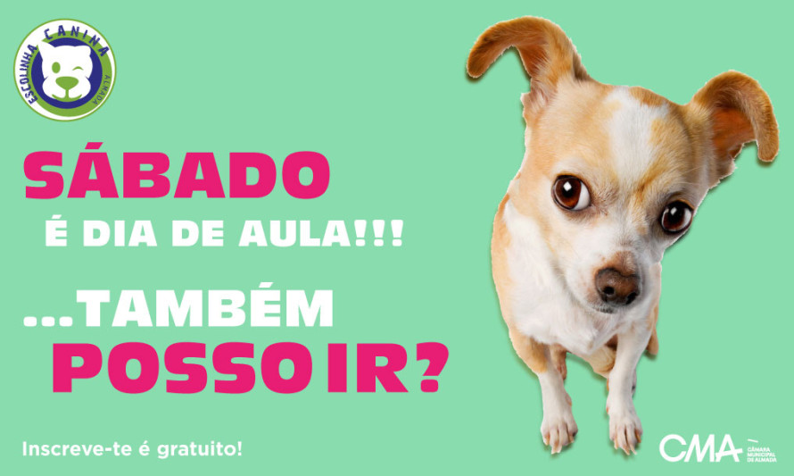 escolinha canina abril