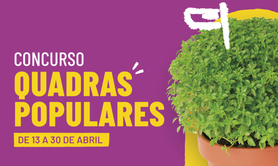 Concursos Quadras 2026