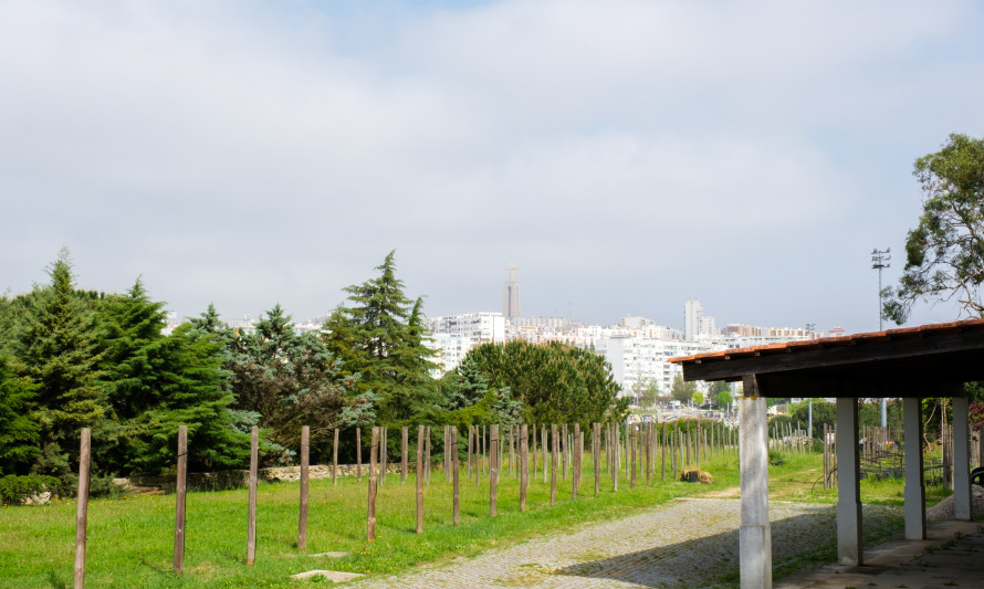 Viveiro do Parque da Paz