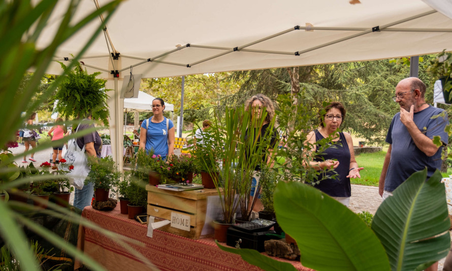 Eco-mercado no Parque da Paz