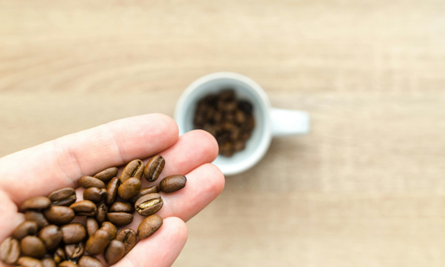 Entre grãos e aromas: ciência numa chávena de café
