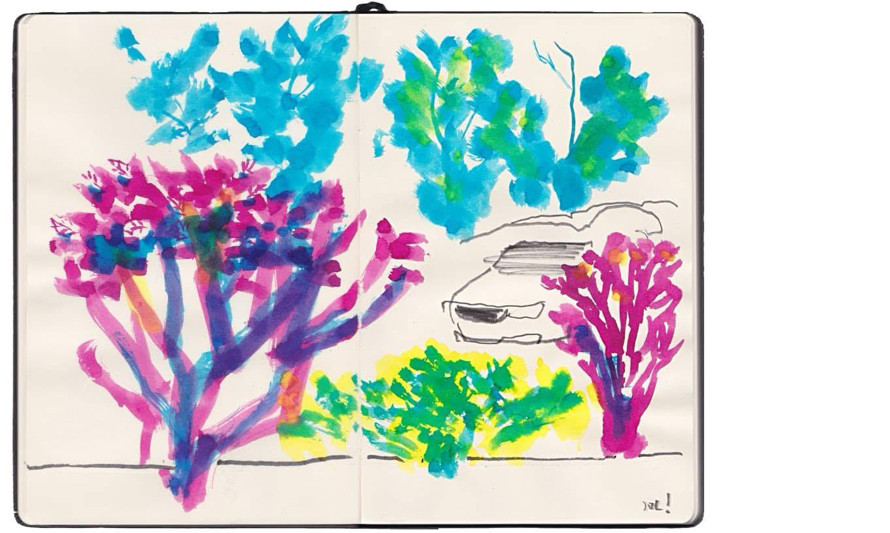 Desenho colorido de árvores