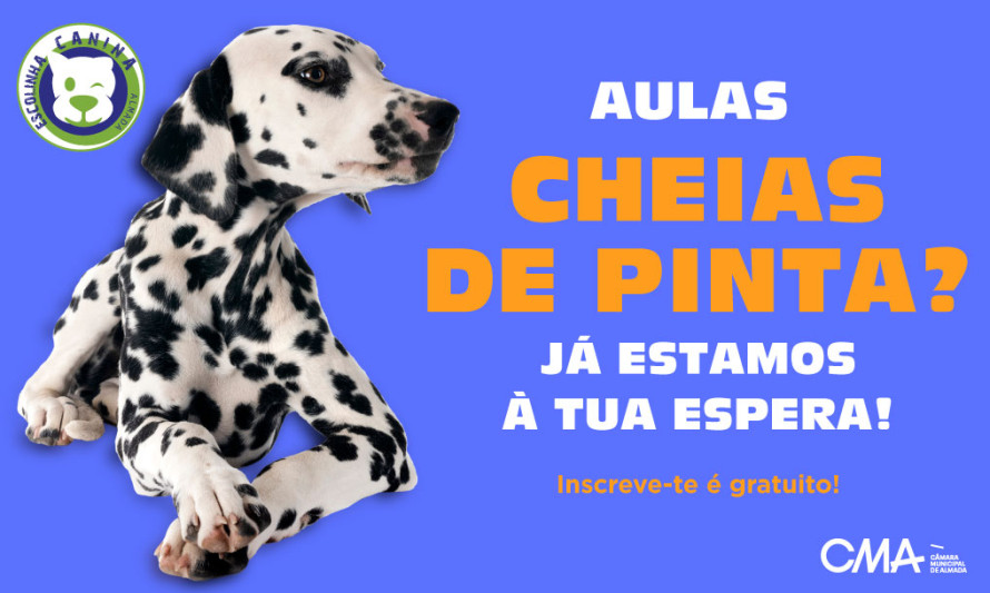 Escola Canina julho 2026