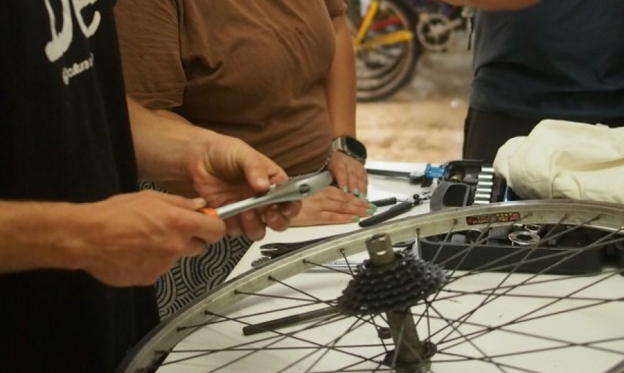 cicloficina