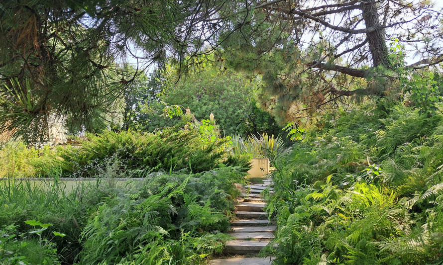 Visita a'O Chão das Artes - Jardim Botânico