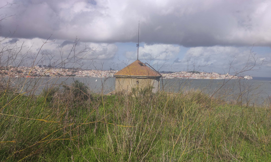Imagem representativa de Fábrica de Óleo de Fígado de Bacalhau. Cobertura de "silo" / torre visivel desde o topo da arriba envolvente.
