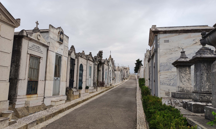 Imagem representativa de Cemitério de Almada. Rua com jazigos familiares.