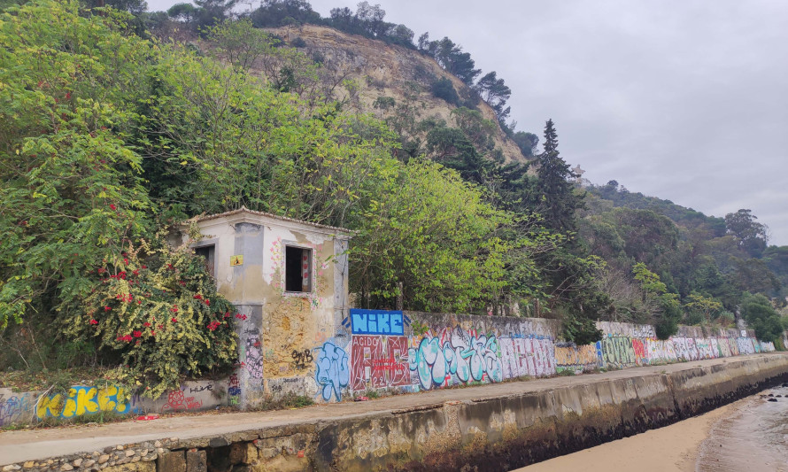 Imagem representativa de Quinta da Arealva / Instalações da Sociedade Vinícola do Sul. Conjunto arquitetónico muito degradado, ocultado por vegetação arbórea e arbustiva.