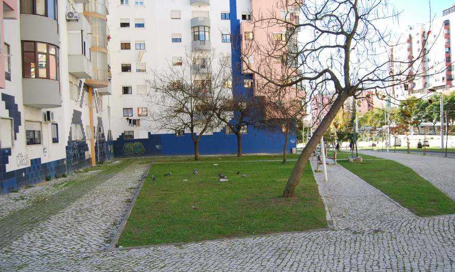 Imagem representativa de ARQ0024