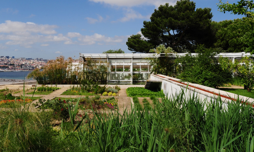 Imagem representativa de Palácio da Cerca. Jardim Botânico - Chão das Artes