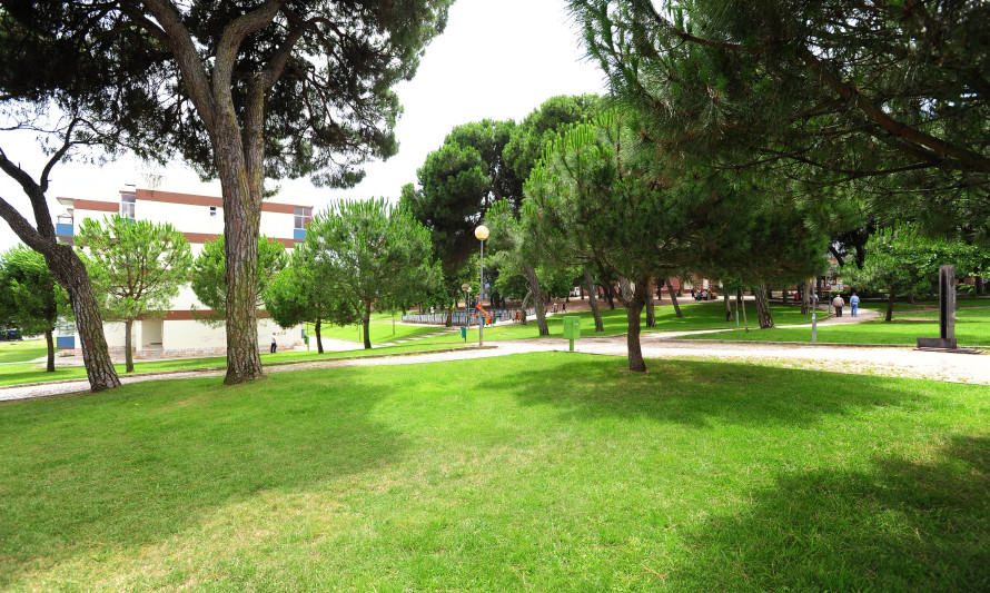 Imagem representativa de Parque Luís Sá
