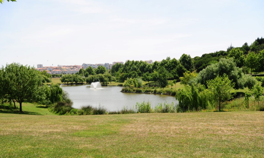 Imagem representativa de Parque da Paz