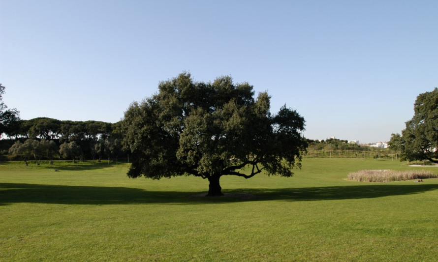 Imagem representativa de Parque da Paz