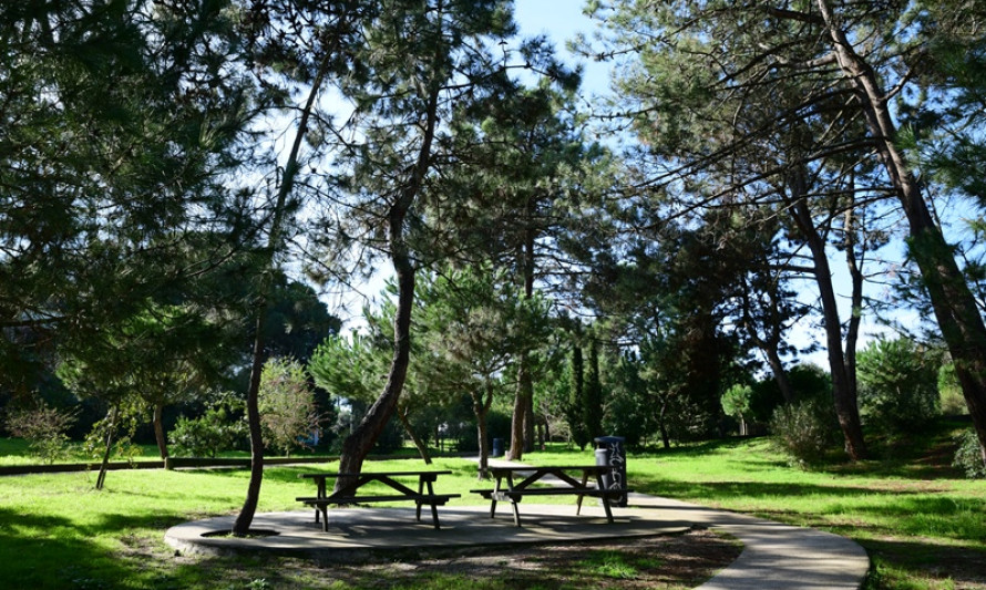Imagem representativa de Parque Aventura