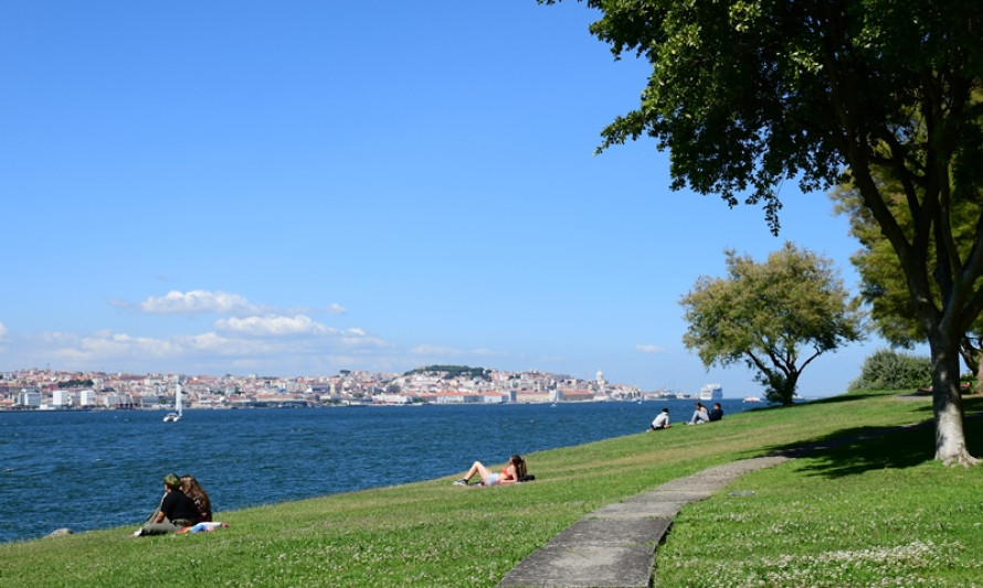 Imagem representativa de Jardim do Rio