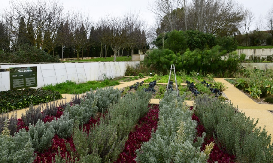 Imagem representativa de Jardim Botânico - Chão das Artes