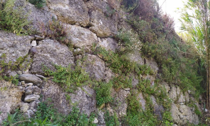Imagem representativa de Forte de Palença. Pormenor do aparelho do pano de muralha.