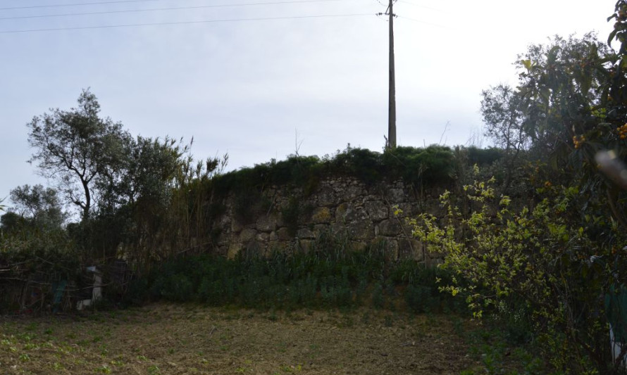 Imagem representativa de Forte de Palença. Enquadramento parcial do troço de muralha.