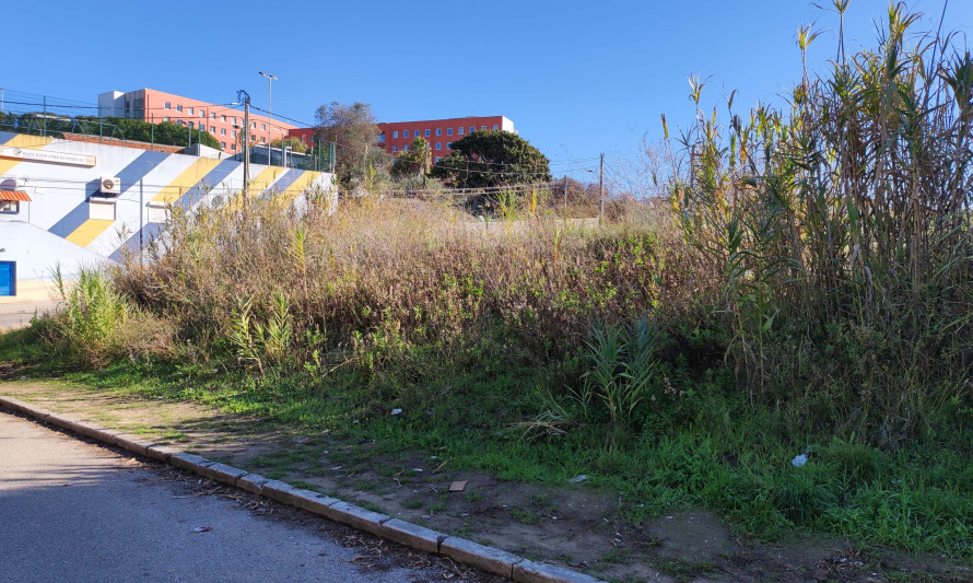 Imagem representativa de Figueira 1. Talude existente. Área camuflada por vegetação herbácea densa (2021).