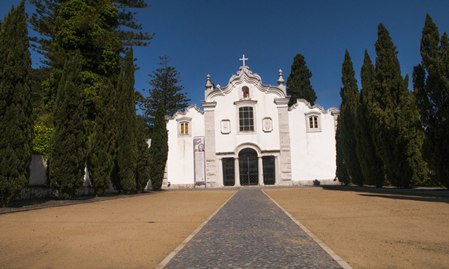 Imagem representativa de IVP001