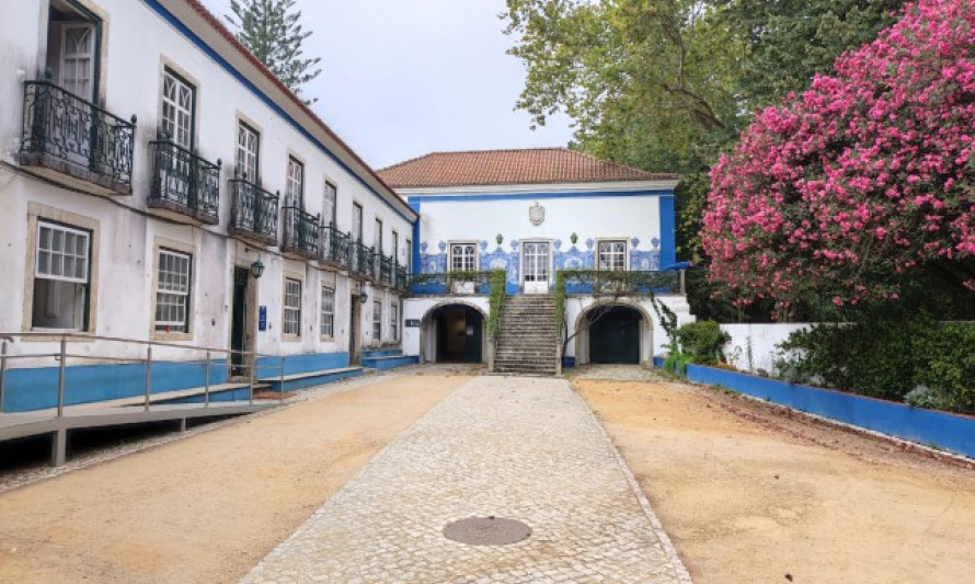 Imagem representativa de IVP011