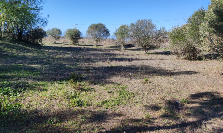 Imagem representativa de Murfacém 1. Terreno situado no interior dos limites da subestação (2021).