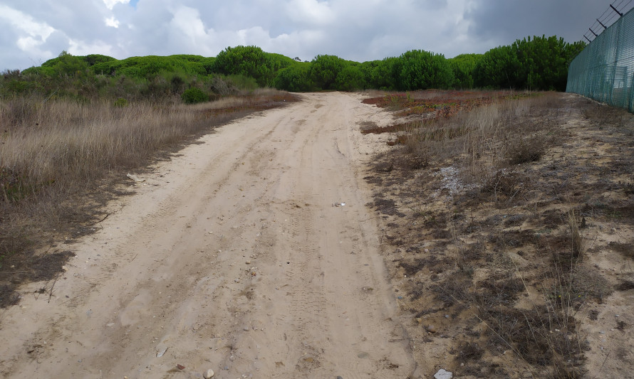 Imagem representativa de Ponta do Cabedelo. Caminho de circulação existente no local.