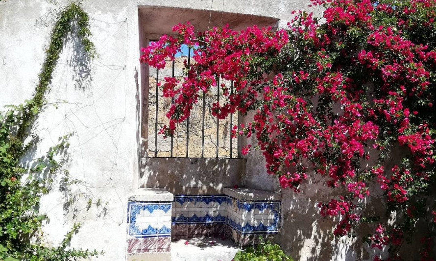 Imagem representativa de Quinta de S. Miguel - Pátio interior