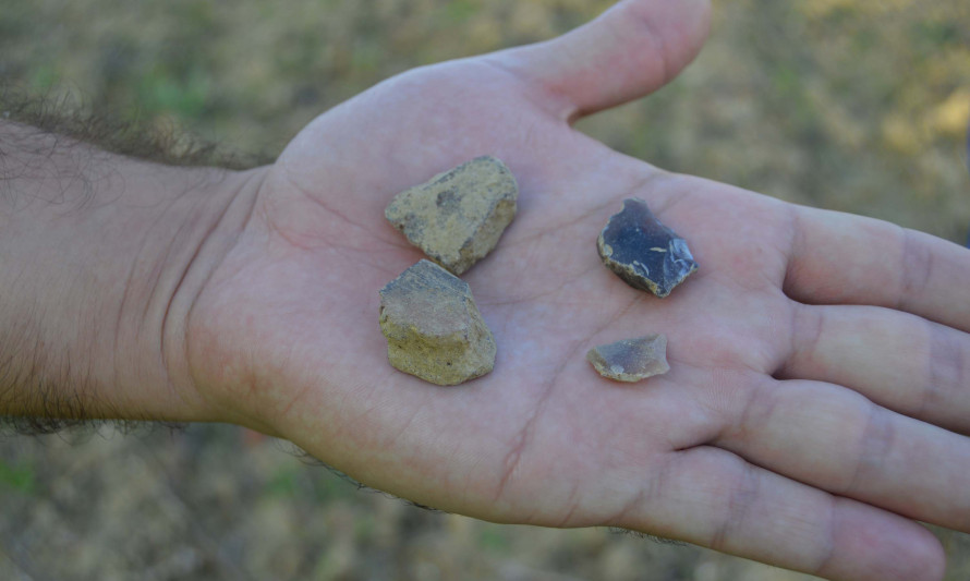 Imagem representativa de Quinta da Nossa Senhora da Piedade. Parte do escasso material arqueológico identificado.