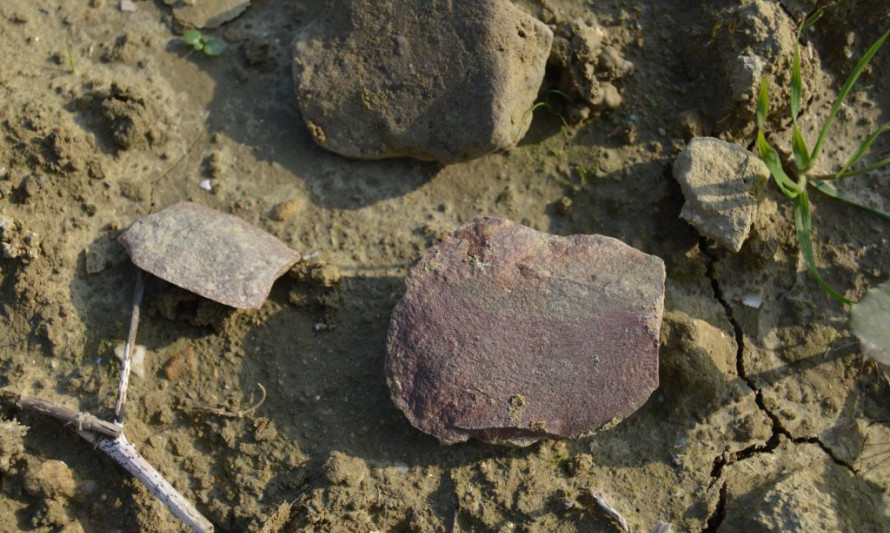 Imagem representativa de Quinta da Virgem Macarena 1. Conjunto de material arqueológico identificado.
