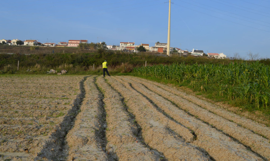 Imagem representativa de Quinta da Virgem Macarena 2. Fase de trabalho e registo de campo.