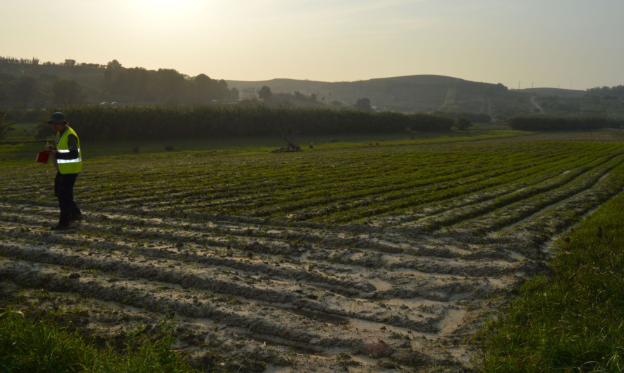 Imagem representativa de Quinta da Virgem Macarena 2. Fase de trabalho e registo de campo.