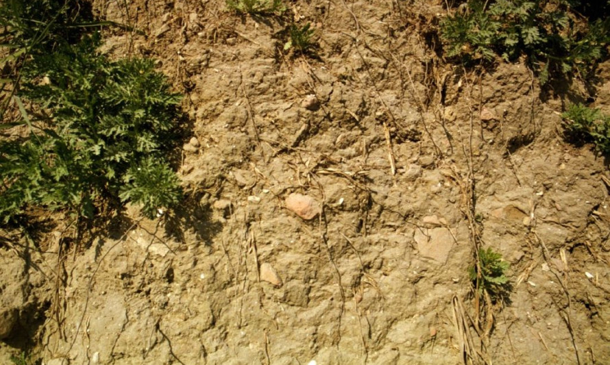 Imagem representativa de Torrinha. Materiais arqueológicos visíveis em talude.