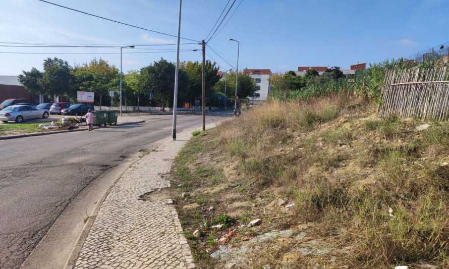Imagem representativa de Vale Figueira. Enquadramento parcial do sítio arqueológico referenciado (2022).