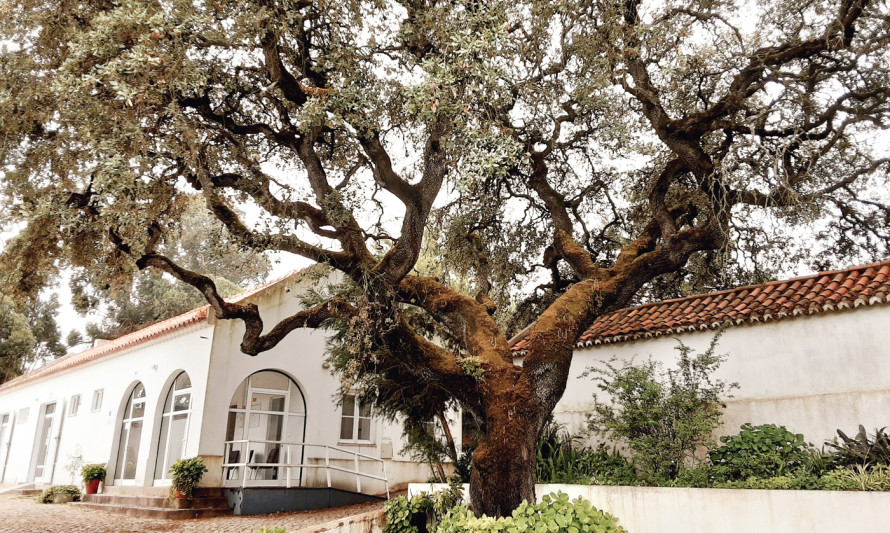 Imagem representativa de Jardim do Solar dos Zagallos