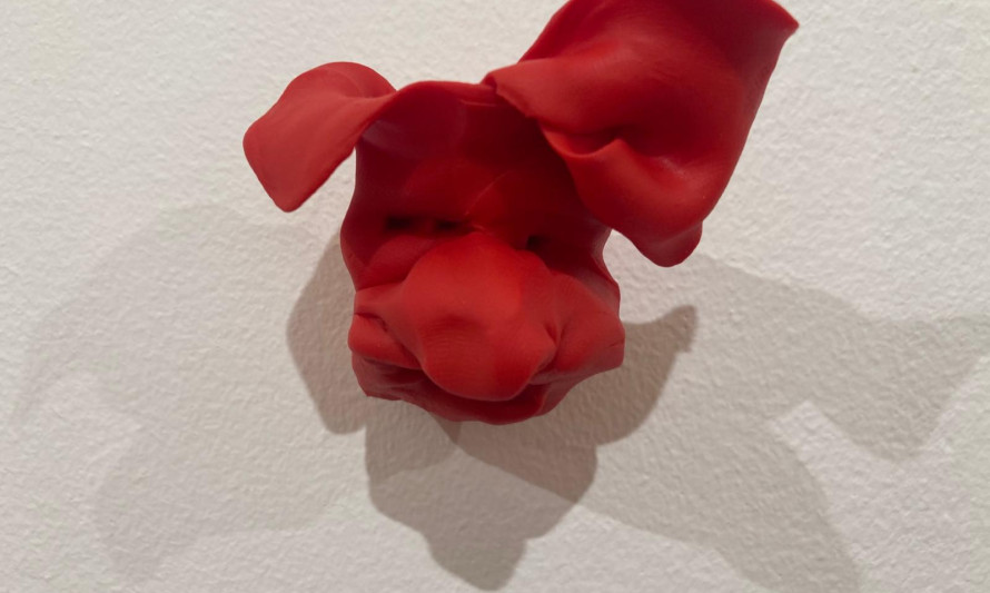 Fauno_2