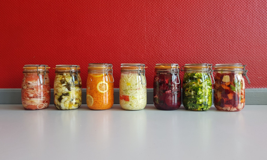 fermentados 
