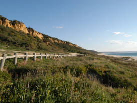 PaisagemProtegidaArribaFóssil