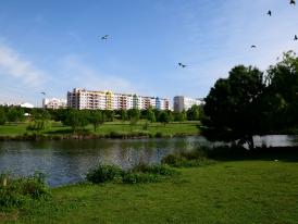 Gestão Territorial Almada - ISolo