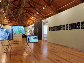 Exposição "A Vida Secreta das Plantas"