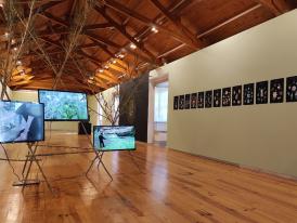 Exposição "A Vida Secreta das Plantas"