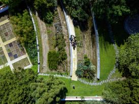 Visita Orientada ao Chão das Artes - Jardim Botânico (fotografia de Paulo Alves)