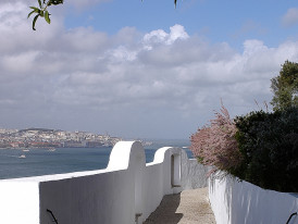 Projetos e Parcerias